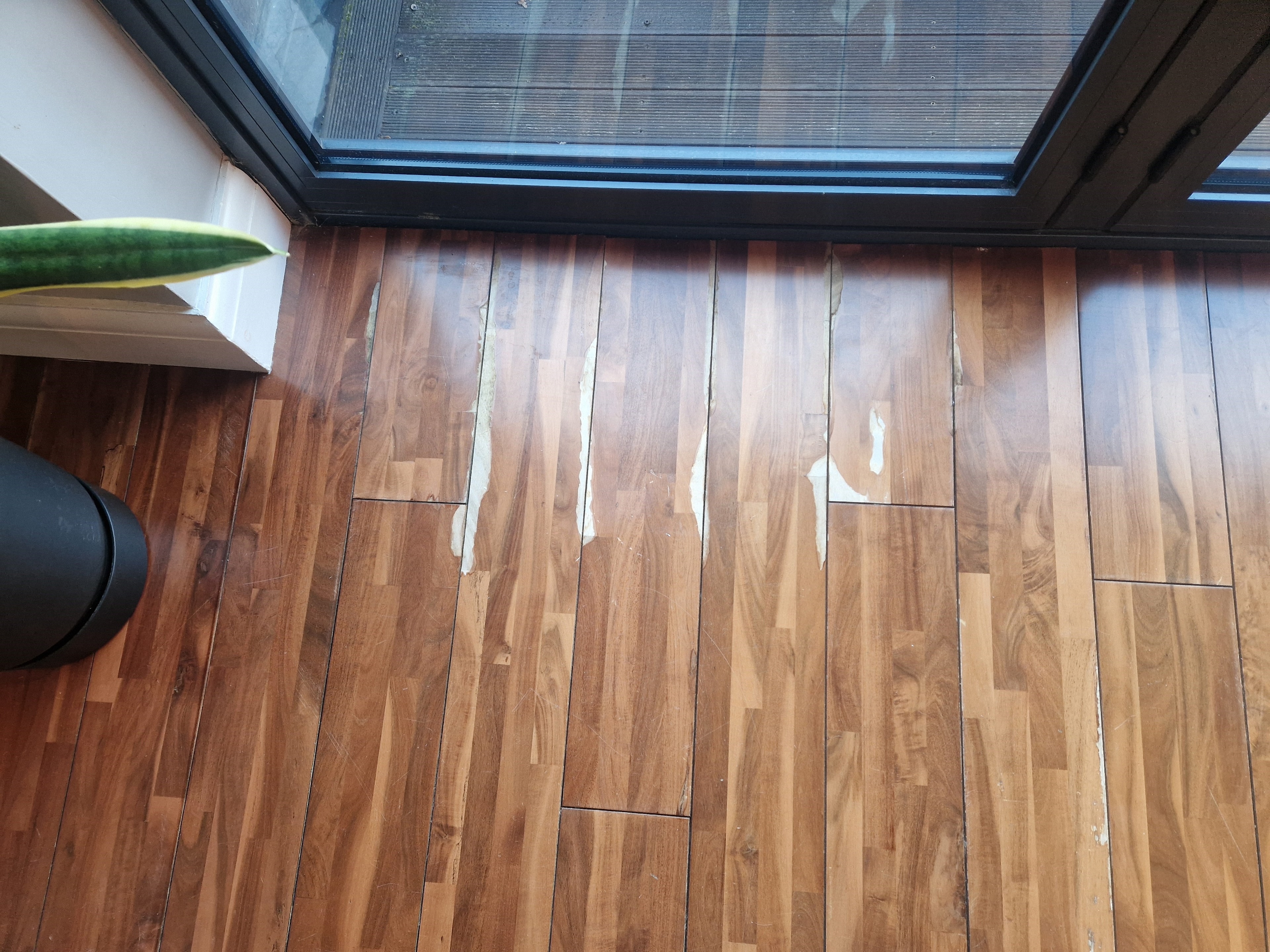 Wood & Laminate